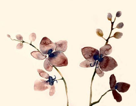 Dark Orchid 2 White Modern Wood Framed Art Print with Double Matting by Boho Hue Studio