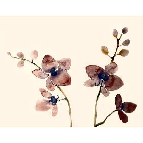Dark Orchid 2 Black Modern Wood Framed Art Print with Double Matting by Boho Hue Studio