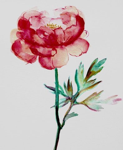 Red Peony White Modern Wood Framed Art Print with Double Matting by Boho Hue Studio