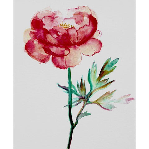 Red Peony Black Modern Wood Framed Art Print by Boho Hue Studio