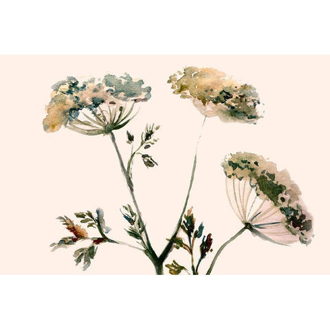 Queens Flowers Black Modern Wood Framed Art Print by Boho Hue Studio