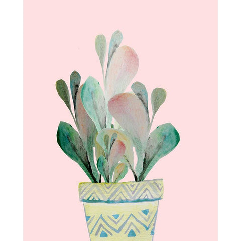 Succulent in Teal A Black Modern Wood Framed Art Print with Double Matting by Boho Hue Studio