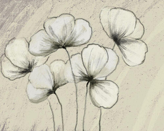 Image Only