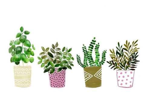 Four Plants 1 White Modern Wood Framed Art Print with Double Matting by Boho Hue Studio