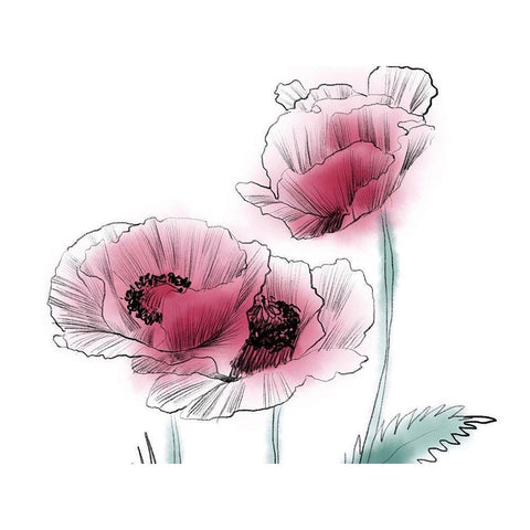 Sketched Poppies 1 Black Modern Wood Framed Art Print with Double Matting by Boho Hue Studio