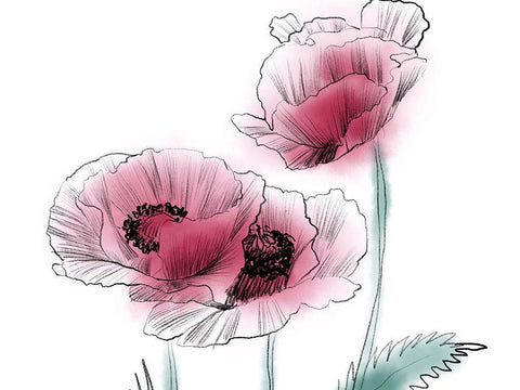 Sketched Poppies 1 White Modern Wood Framed Art Print with Double Matting by Boho Hue Studio