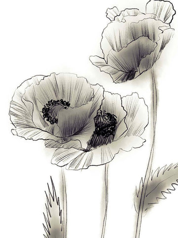 Sketched Poppies 2 Black Ornate Wood Framed Art Print with Double Matting by Boho Hue Studio