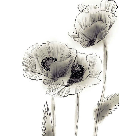 Sketched Poppies 2 Black Modern Wood Framed Art Print by Boho Hue Studio