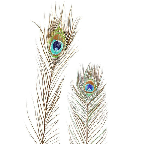 Peacock Love 1 Gold Ornate Wood Framed Art Print with Double Matting by Boho Hue Studio