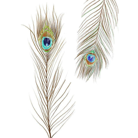 Peacock Love 2 White Modern Wood Framed Art Print by Boho Hue Studio