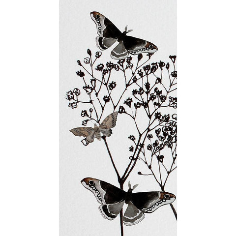 Dark Butterflys 1 Black Modern Wood Framed Art Print with Double Matting by Boho Hue Studio