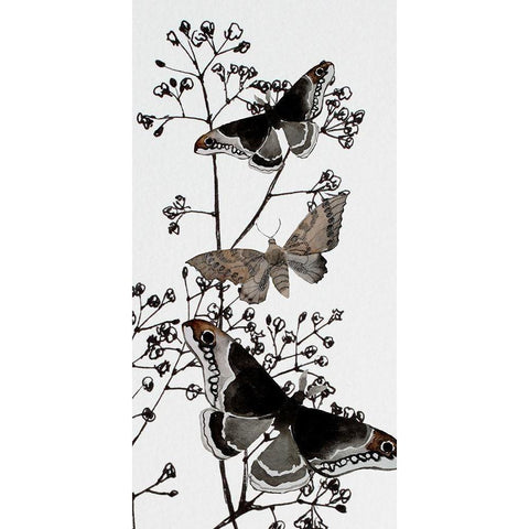 Dark Butterflys 2 Black Modern Wood Framed Art Print with Double Matting by Boho Hue Studio