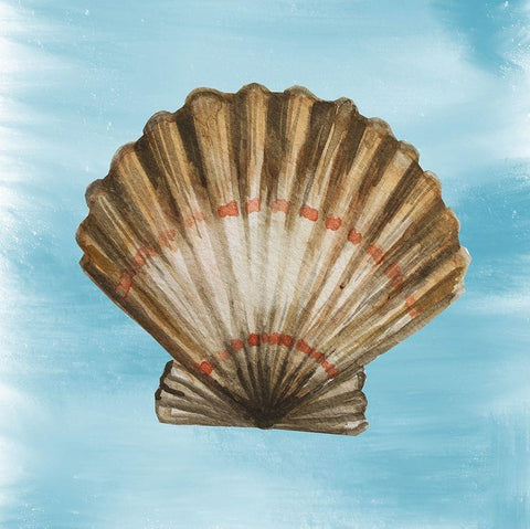 Shell 2 White Modern Wood Framed Art Print with Double Matting by Boho Hue Studio