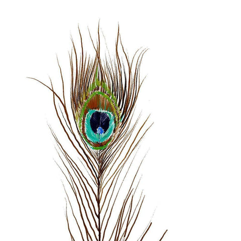 Peacock Single 2 Gold Ornate Wood Framed Art Print with Double Matting by Boho Hue Studio