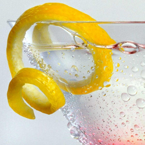 Lemon Twist Gold Ornate Wood Framed Art Print with Double Matting by Seidman, Barry