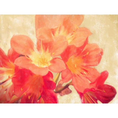 Sun Fire Florals Black Modern Wood Framed Art Print by Alvarez, Cynthia