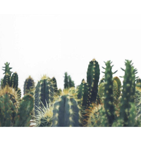 Prickly Field White Modern Wood Framed Art Print by Alvarez, Cynthia