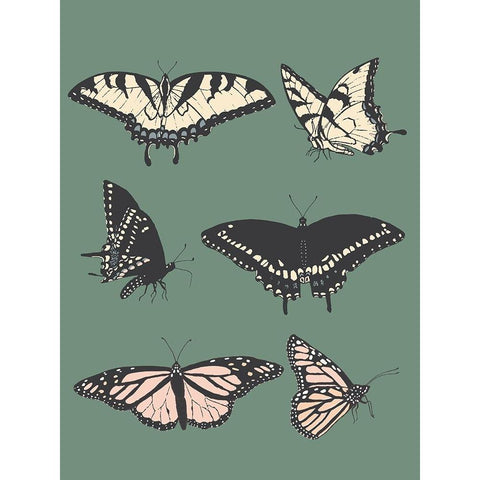 Butterfly Chart Black Modern Wood Framed Art Print by Sweet Melody Designs