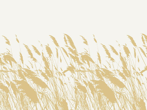 Nature Inspired Wild Grasses White Modern Wood Framed Art Print with Double Matting by Sweet Melody Designs