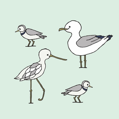 Beach Birds 1 Black Ornate Wood Framed Art Print with Double Matting by Sweet Melody Designs