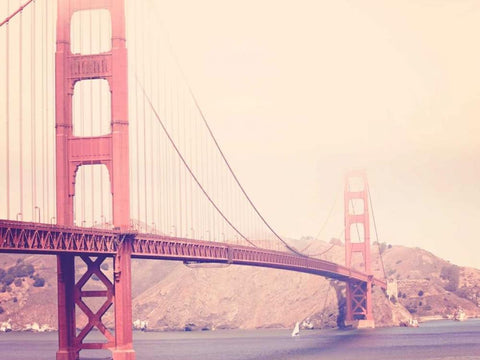 Golden Gate Vintage Black Ornate Wood Framed Art Print with Double Matting by Davis Ashley