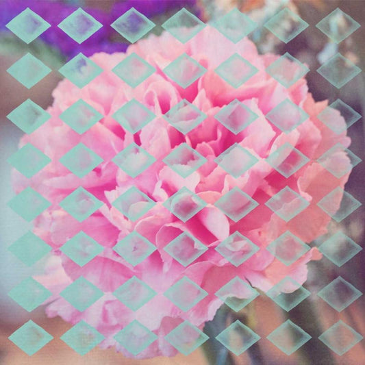 Image Only