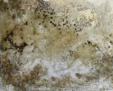 Fissures 2 Black Ornate Wood Framed Art Print with Double Matting by Brown, Denise