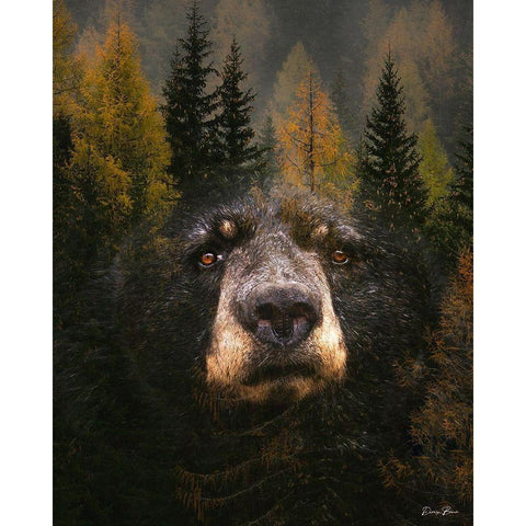 Through The Trees Gold Ornate Wood Framed Art Print with Double Matting by Brown, Denise