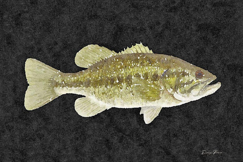 Bass White Modern Wood Framed Art Print with Double Matting by Brown, Denise