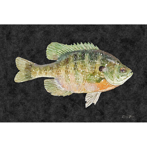 Blue Gill Black Modern Wood Framed Art Print with Double Matting by Brown, Denise
