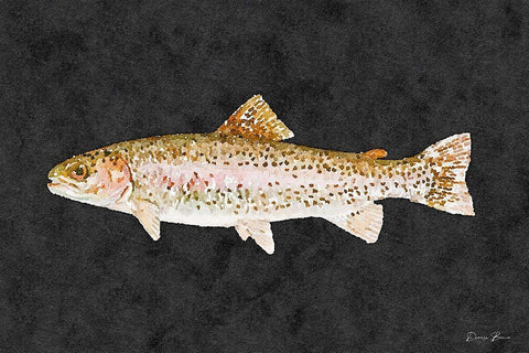 Rainbow Trout White Modern Wood Framed Art Print with Double Matting by Brown, Denise