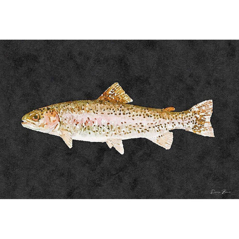 Rainbow Trout Black Modern Wood Framed Art Print by Brown, Denise