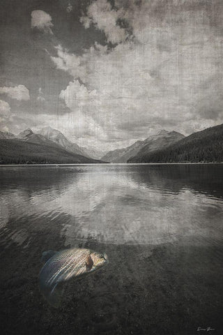 Fall Lake Trout White Modern Wood Framed Art Print with Double Matting by Brown, Denise