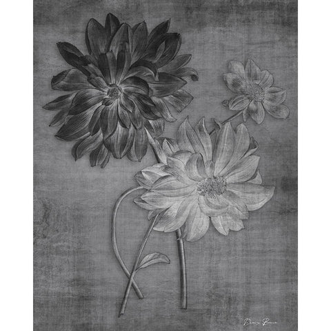 Tranquil Botanical 1 Black Modern Wood Framed Art Print with Double Matting by Brown, Denise