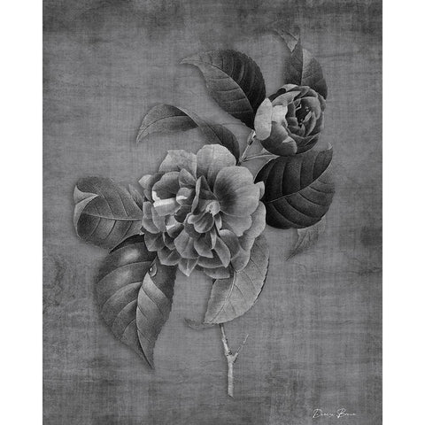 Tranquil Botanical 2 Black Modern Wood Framed Art Print with Double Matting by Brown, Denise