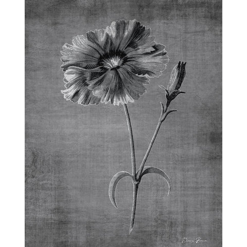 Tranquil Botanical 3 White Modern Wood Framed Art Print by Brown, Denise