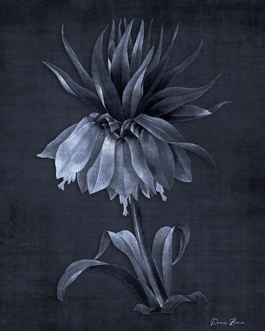 Botanical Edge 4 Black Ornate Wood Framed Art Print with Double Matting by Brown, Denise