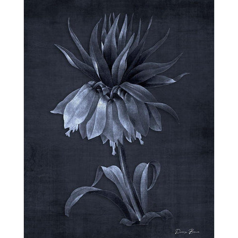 Botanical Edge 4 Gold Ornate Wood Framed Art Print with Double Matting by Brown, Denise