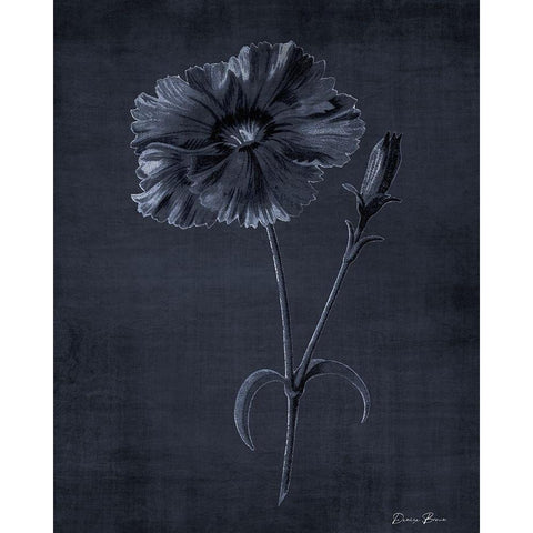 Botanical Edge 5 Gold Ornate Wood Framed Art Print with Double Matting by Brown, Denise