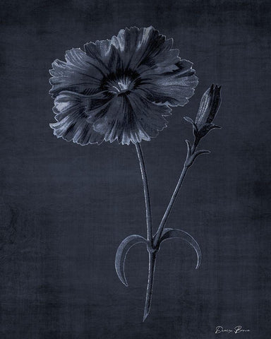 Botanical Edge 5 Black Ornate Wood Framed Art Print with Double Matting by Brown, Denise