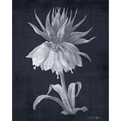 Mighty Growth 2 Black Modern Wood Framed Art Print with Double Matting by Brown, Denise