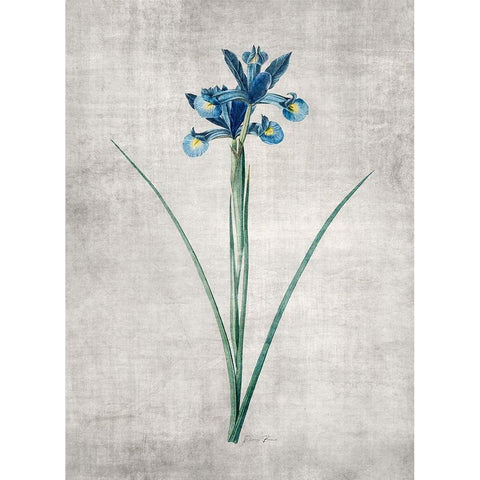 Blue Botanical 2 White Modern Wood Framed Art Print by Brown, Denise