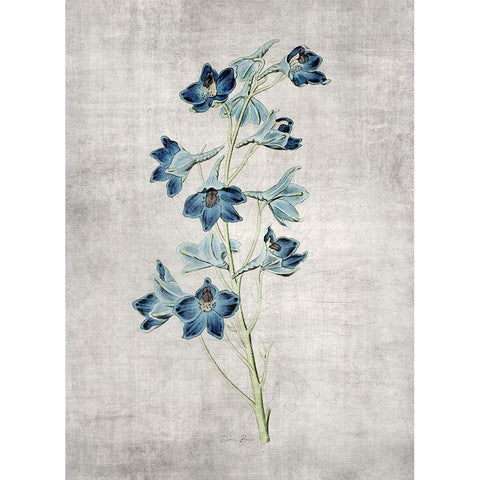 Blue Botanical 3 White Modern Wood Framed Art Print by Brown, Denise