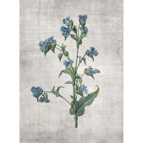 Blue Botanical 4 Gold Ornate Wood Framed Art Print with Double Matting by Brown, Denise