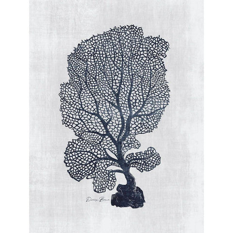 Sea Fan 2 Black Modern Wood Framed Art Print with Double Matting by Brown, Denise