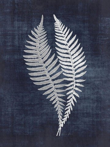 Fern 2 White Modern Wood Framed Art Print with Double Matting by Brown, Denise