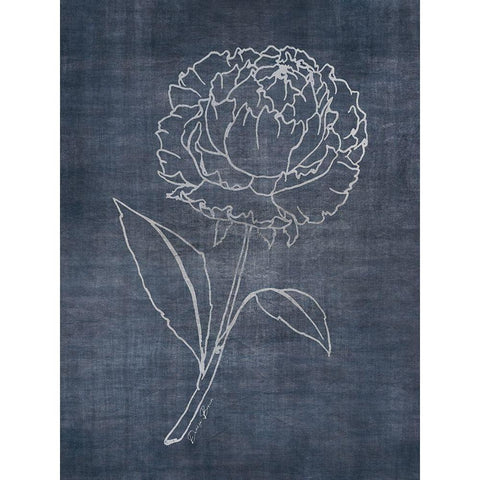 White Peony on Navy 1 Black Modern Wood Framed Art Print by Brown, Denise
