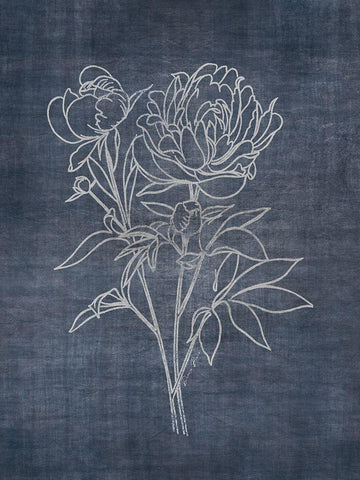 White Peony on Navy 2 White Modern Wood Framed Art Print with Double Matting by Brown, Denise