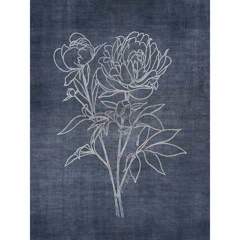 White Peony on Navy 2 Black Modern Wood Framed Art Print by Brown, Denise