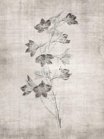 Sepia Botanical 3 Black Ornate Wood Framed Art Print with Double Matting by Brown, Denise